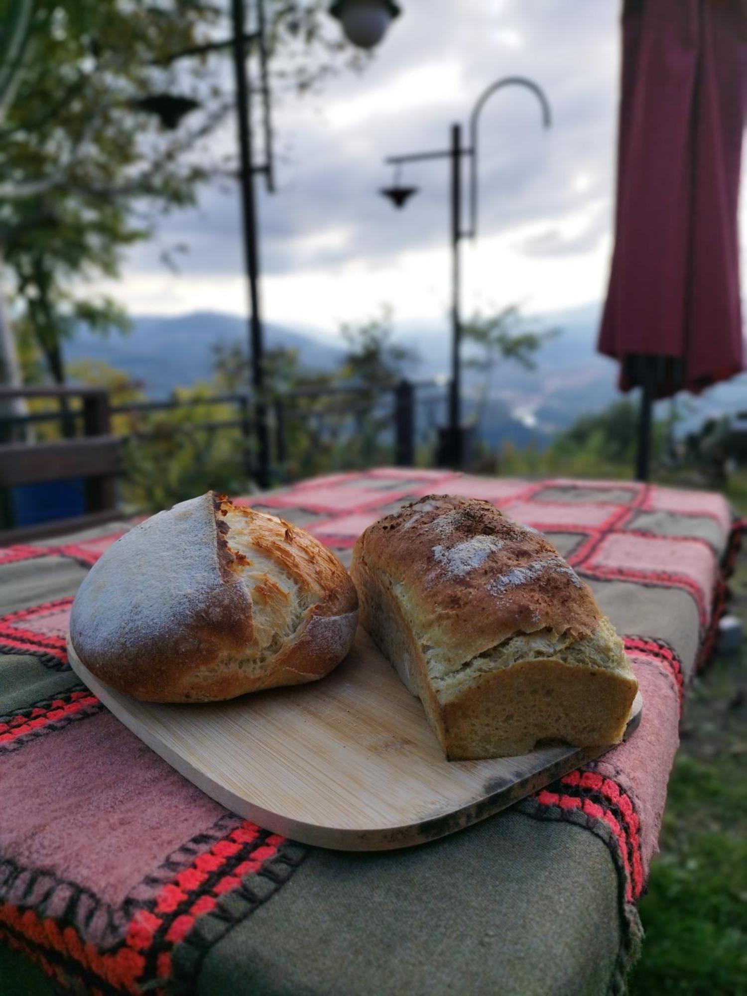 Hayat Oksijen Resort Ordu Dış mekan fotoğraf