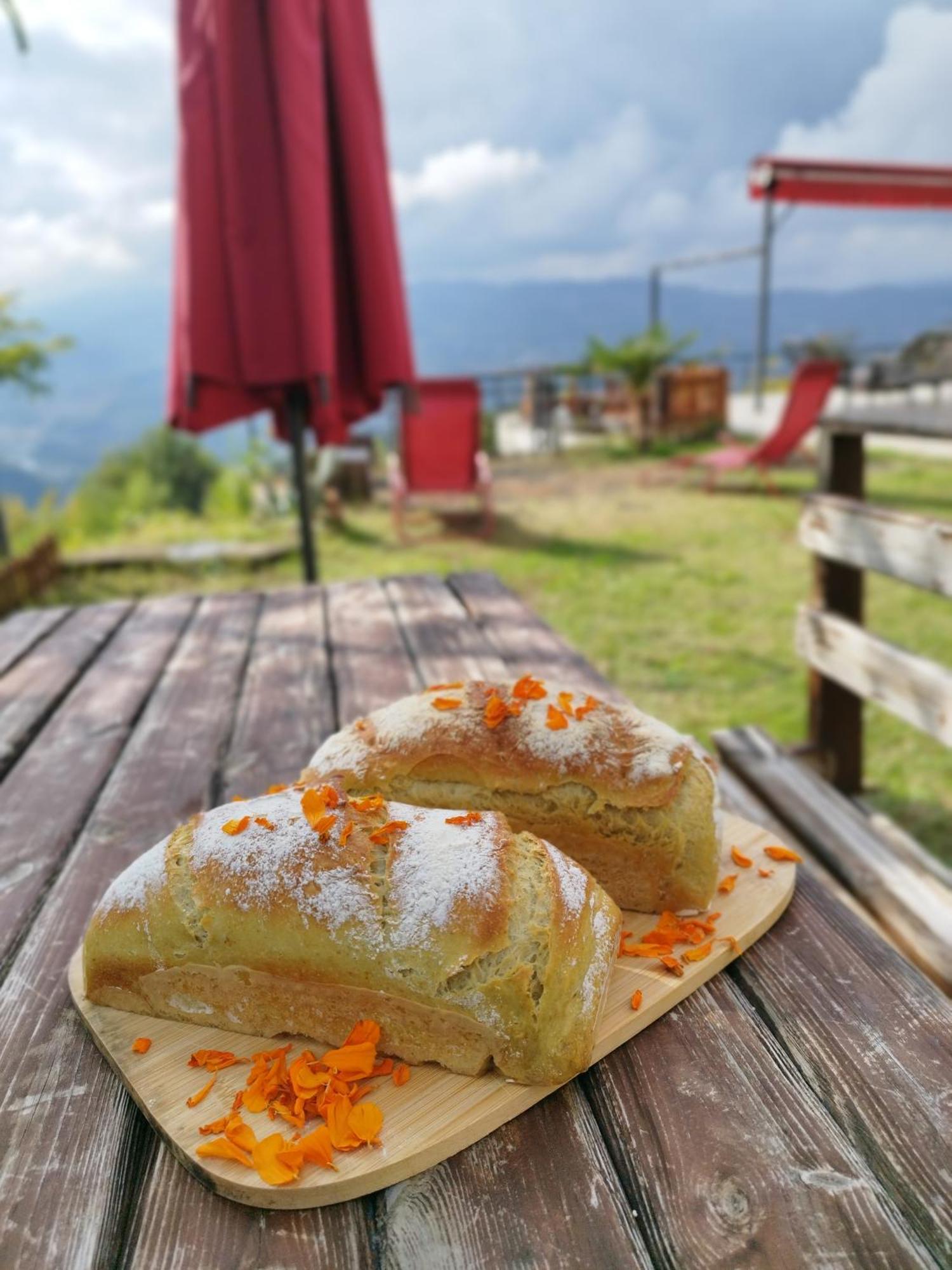 Hayat Oksijen Resort Ordu Dış mekan fotoğraf